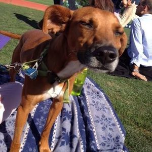 Meet your Posher, Makiko